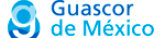 Guasor